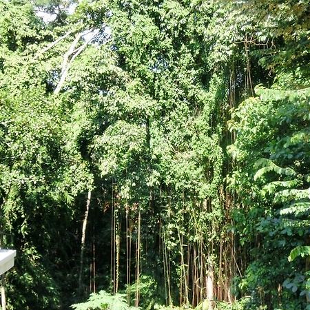 Latugu Homestay Ubud Buitenkant foto