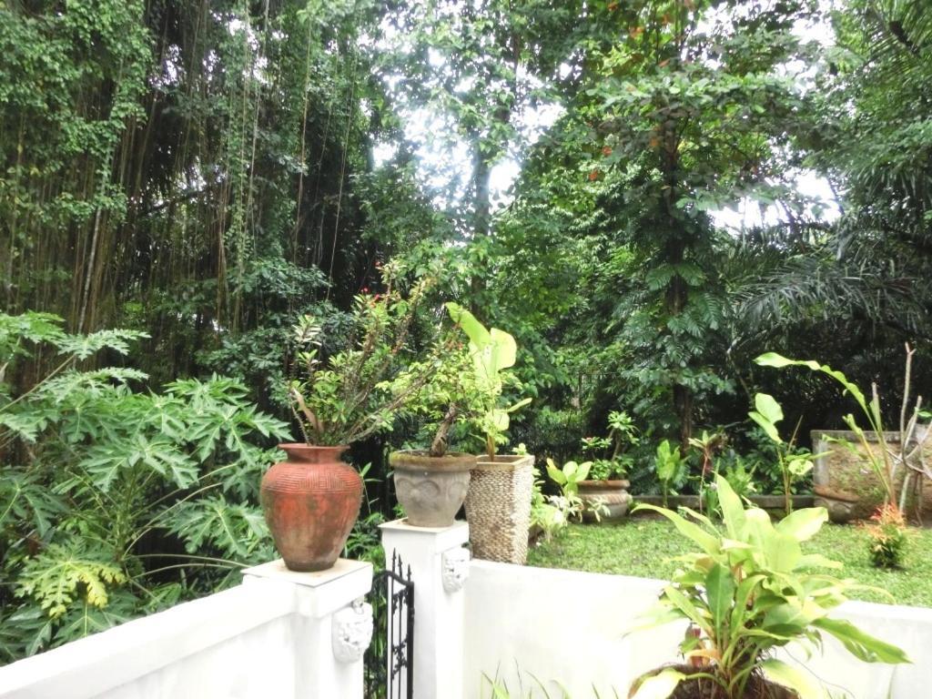 Latugu Homestay Ubud Kamer foto
