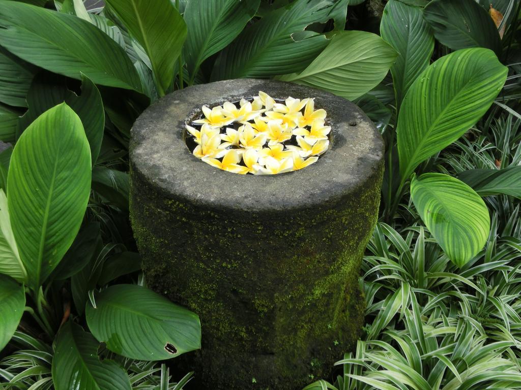 Latugu Homestay Ubud Buitenkant foto